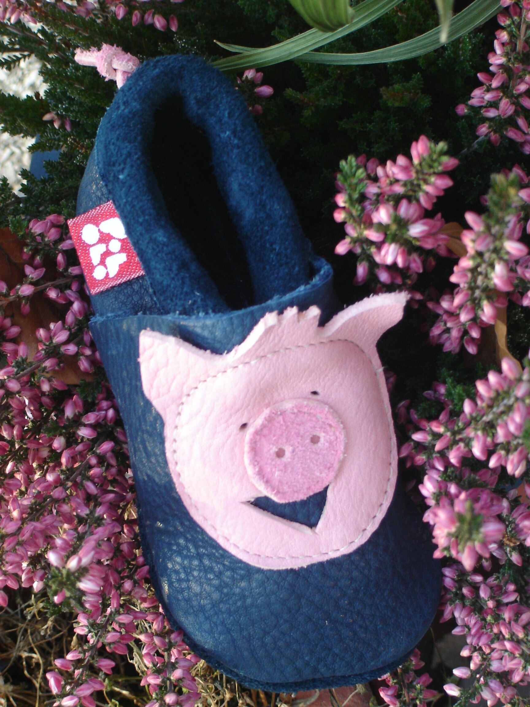 Pololo Rudi the pig st 18/19