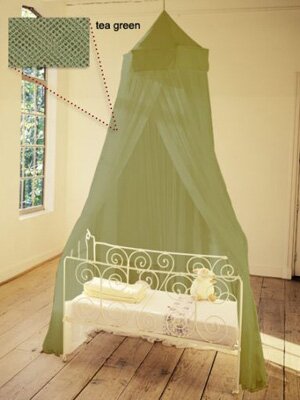 Miguelito olivgr�n