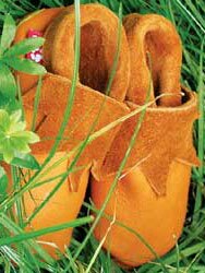 Sunny (st 18/19 till 22/23)